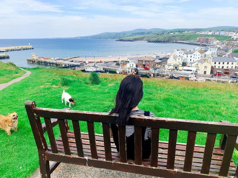 @yunnie sitting on bench, taken from hill above the town