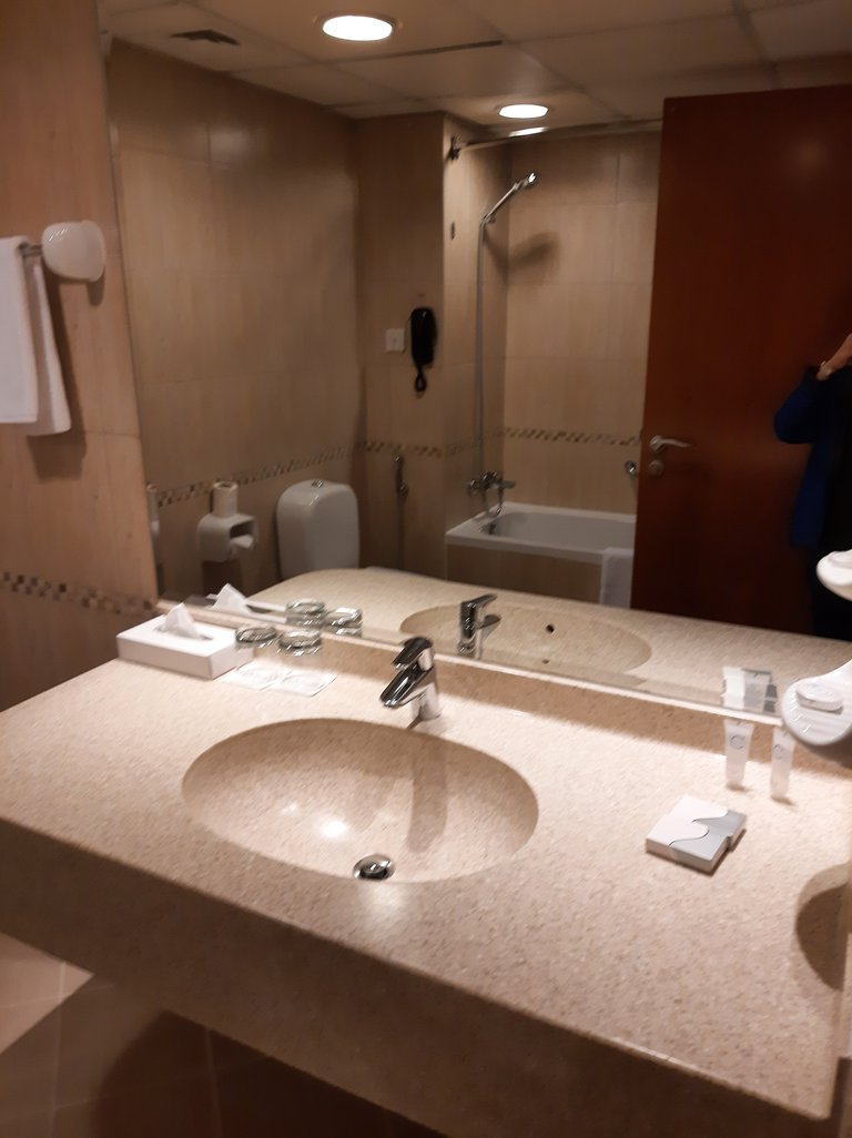 Hotel Room Double Sink