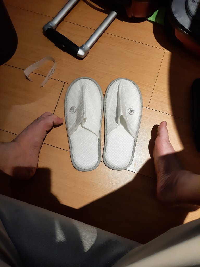 Provided Light Dipsoable Slippers