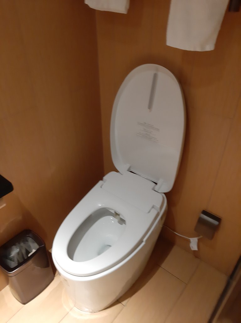 Smart Toilet