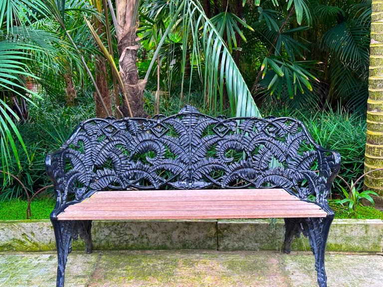 A bench in the Palm House.