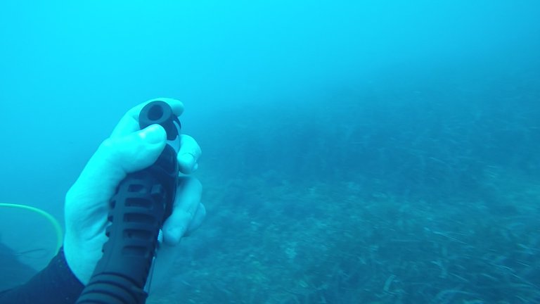 Controling my buoyancy during the ascent through the siphon.