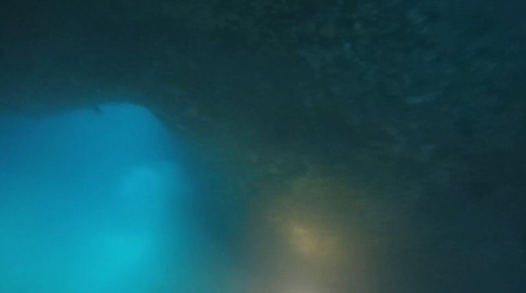 The visibility inside the cave was poor since he raised mud with its fins.