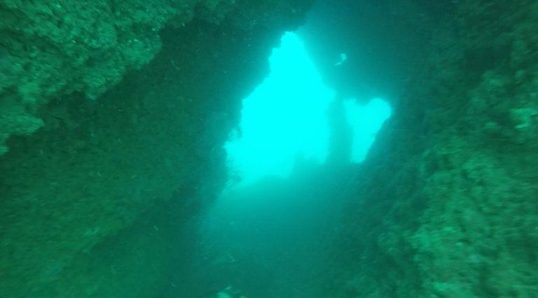 Milky, yellow and greenish environment due to depth and sea stirred up.