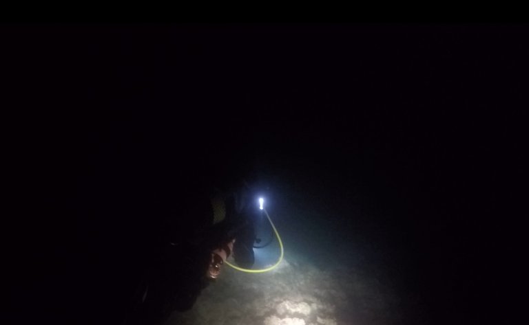 LED light placed on my diving partner’s air tank, which indicates his position at all times.