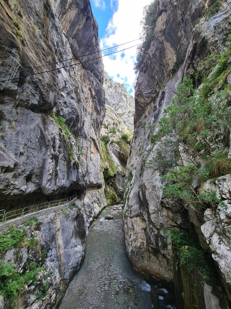 Cares river and the gorge (1).