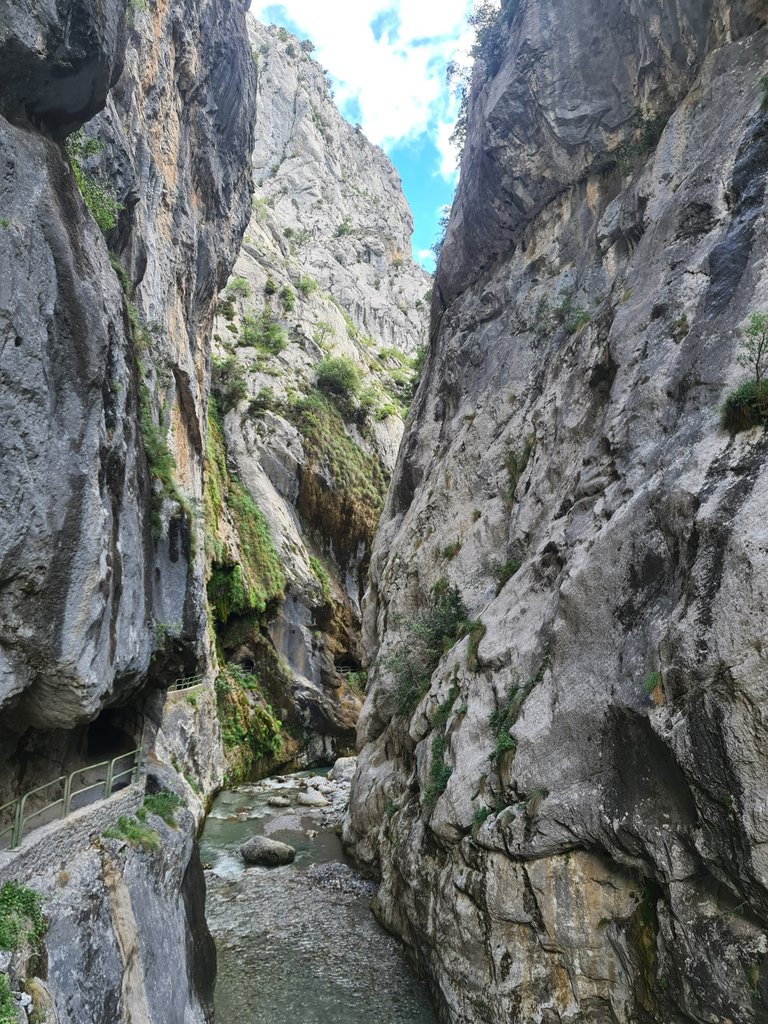 Cares river and the gorge (2).