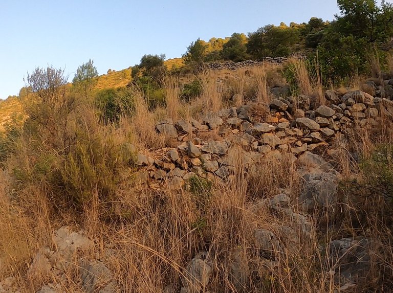 ”Piedra seca” technique, farmlands on the slopes of the mountain, which are sustained thanks to those accumulated stones, sticking together without any type of mortar, and which have lasted for centuries and were built by the Moorish who occupied these lands before their expelling.