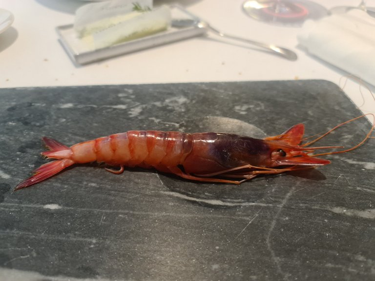 Red prawn curated in a citrus salt crust (Second main course) (2).