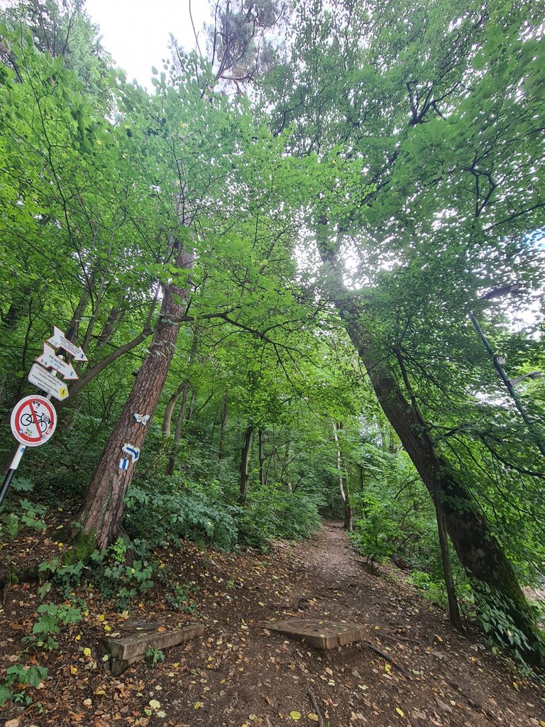 The start point of the hiking route - They warn you about not getting out from the marked path.