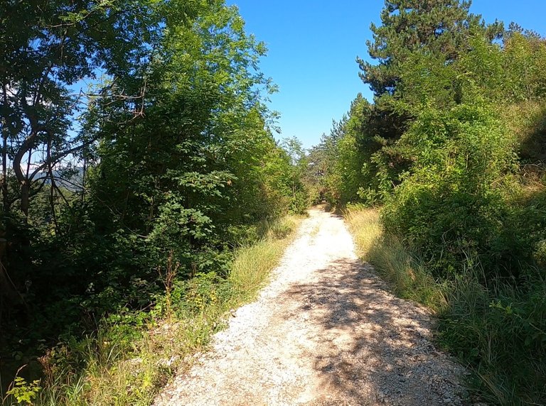 Part of the dry path on a sunny way back.