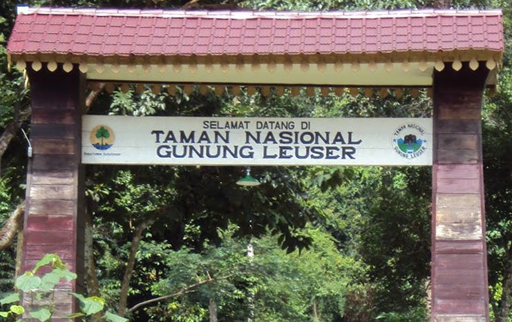 Entrance Gate Mount Leuser National Park