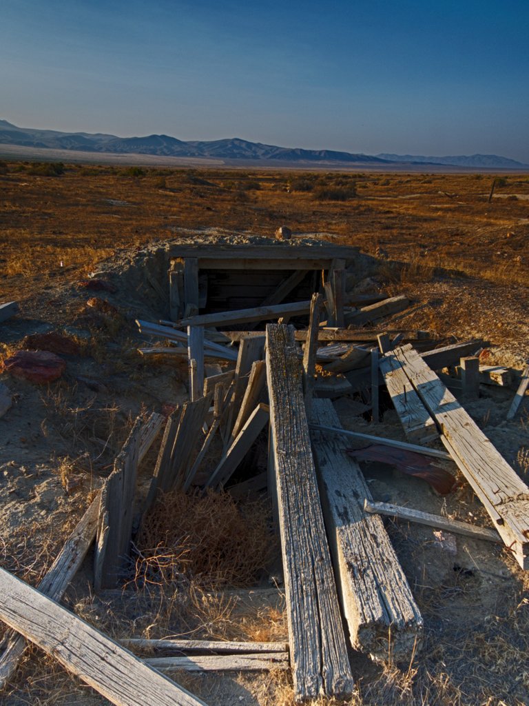 Root Cellar