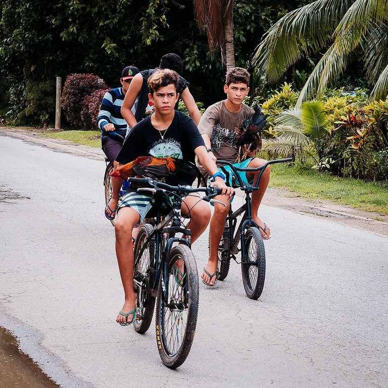 huahine-society-islands-french-polynesia-france-gastontrussi_170620_EM1MKII_33298.jpg