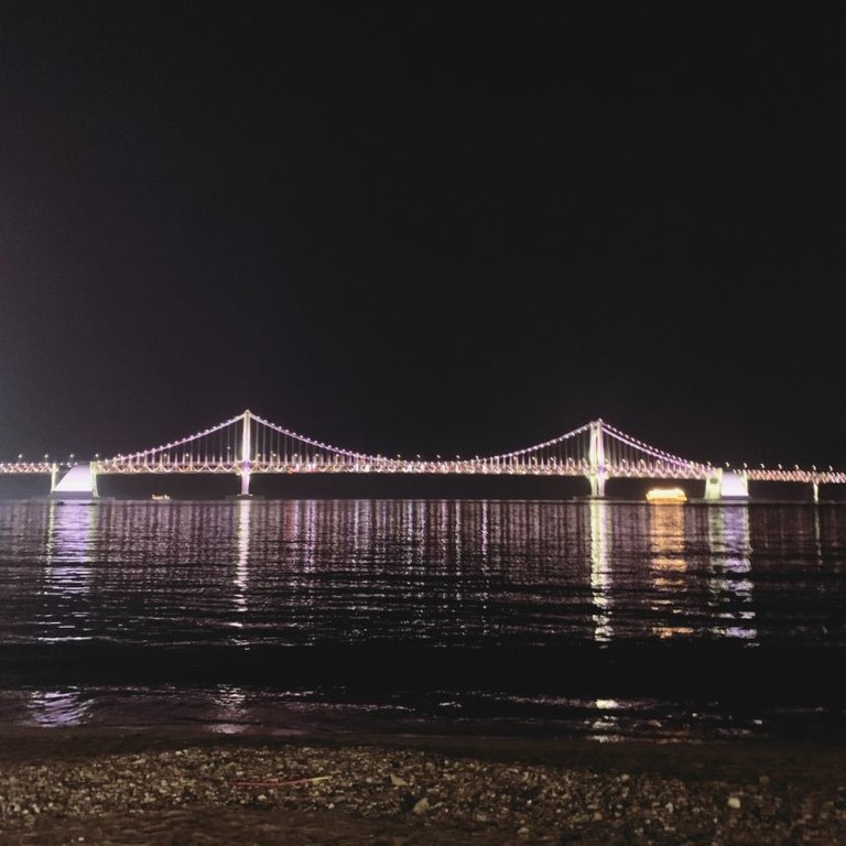 Better Hanwoo with Gwangan Bridge