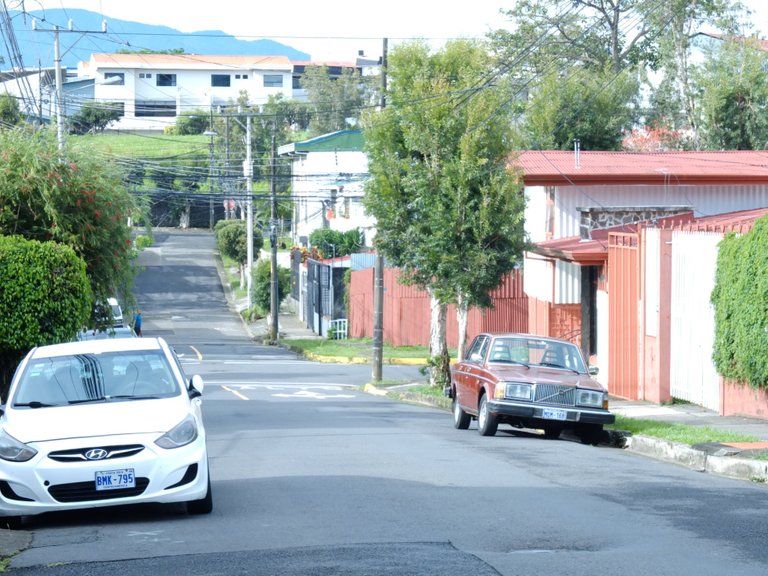 This picture represents what could be the nicest neigbourhood in San Jose.