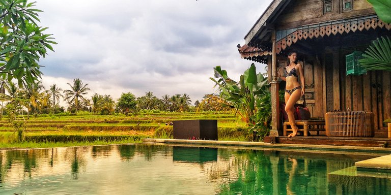 Ricefields in Bali