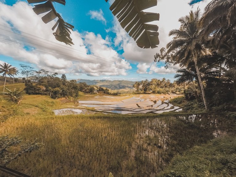 shot with GoPro Hero 5 (Dalaguete Mountain Area Rice Terraces) photography by me