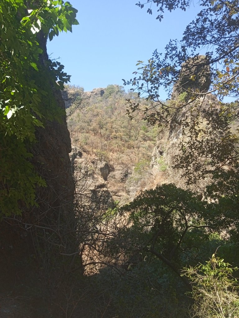View of the forest and hills in the path to the Teposteco temple