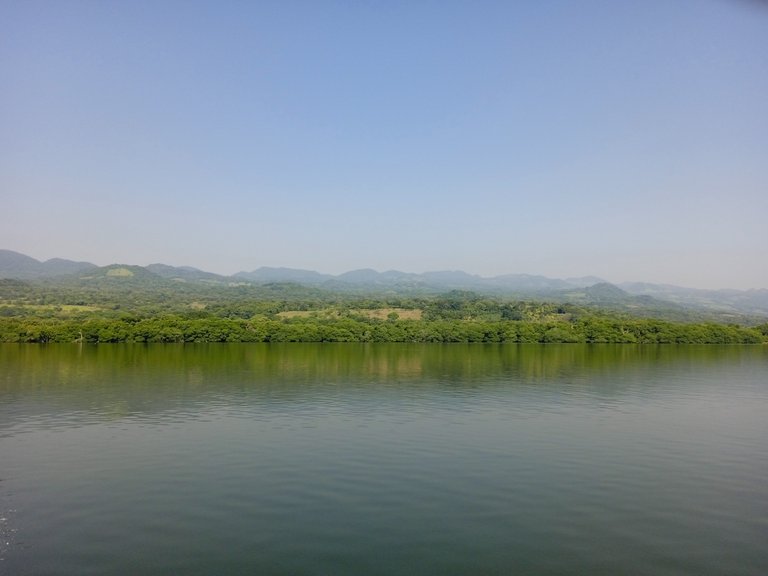 View of the shore from the lake, taken during a boat trip.