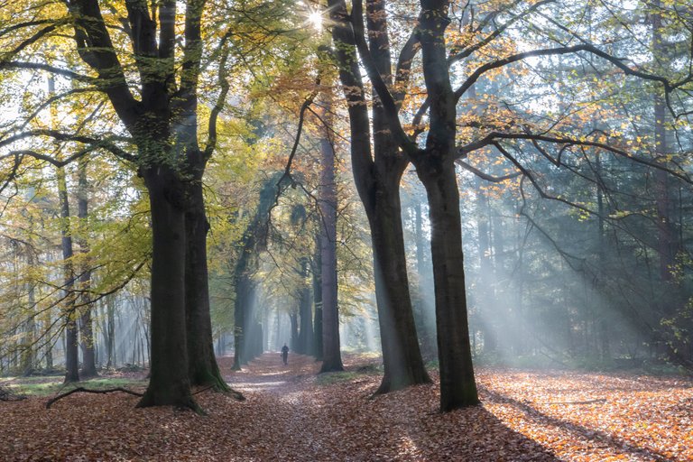 Place 2: National park Utrechtse Heuvelrug