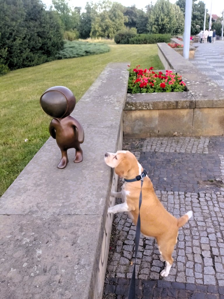 Pozor! Po Kraví hoře se pohybují mimozemšťané. Prý jsou neškodní. EN: On Kraví hora watch out for aliens!