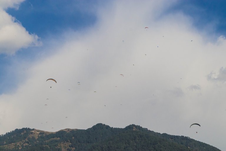 39 paragliders in this photo