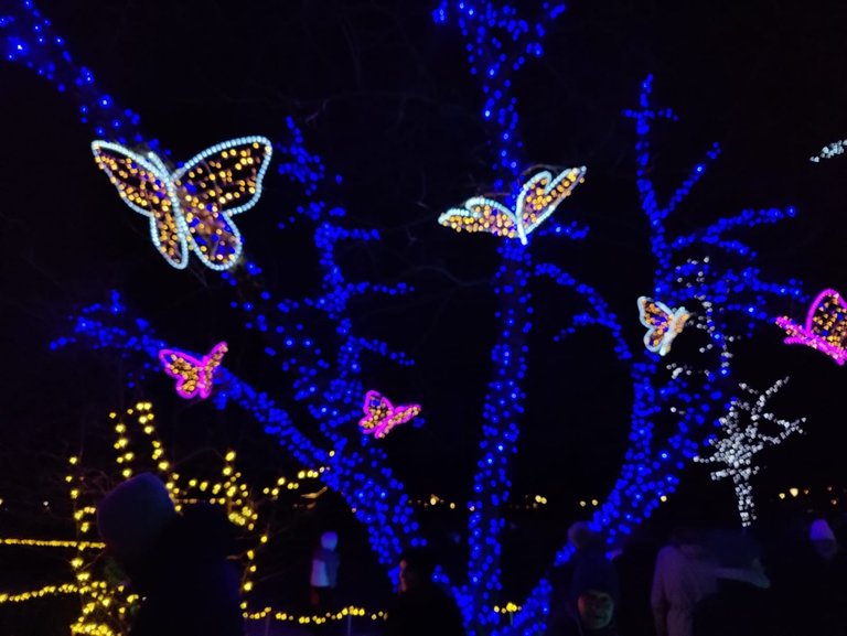 Christmas Holidays at The Magic Forest