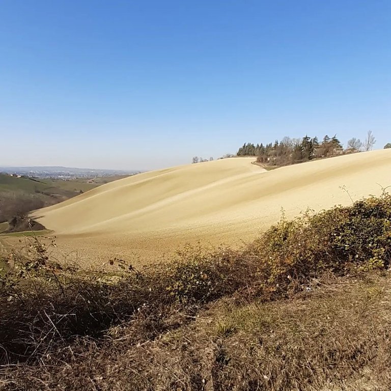 from these images you can understand how dry the ground is