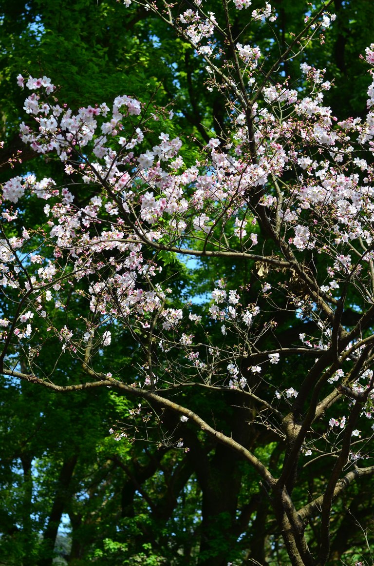 OK, time to test our 50 mm 1.8G lens