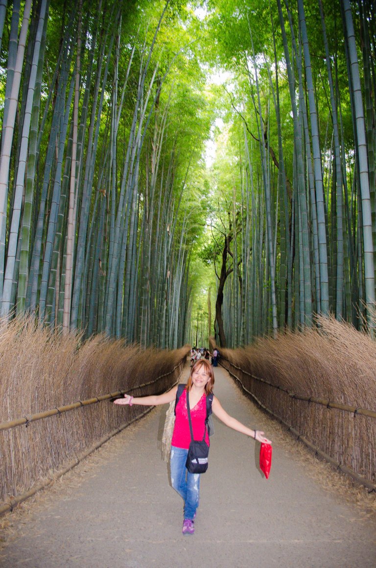 Arashiyama Bamboo Grove