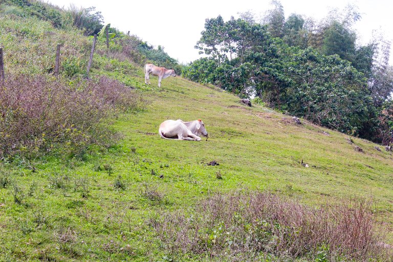 A different angle of the lovely hill near Calbasaan