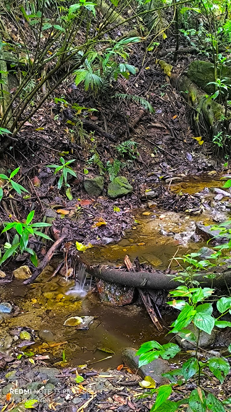 IMG_20250608_100609.jpg