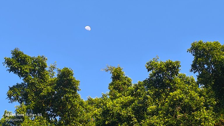 IMG_20250814_065729.jpg