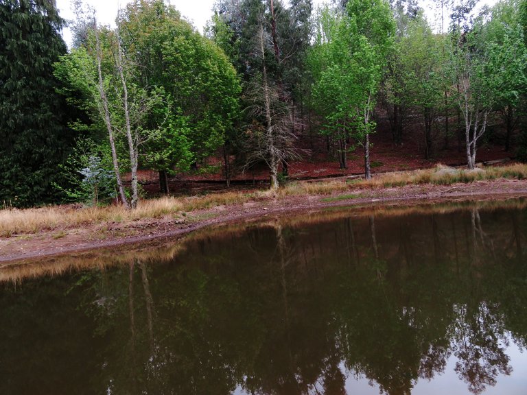 Top Trout Dam - Smaller Dam