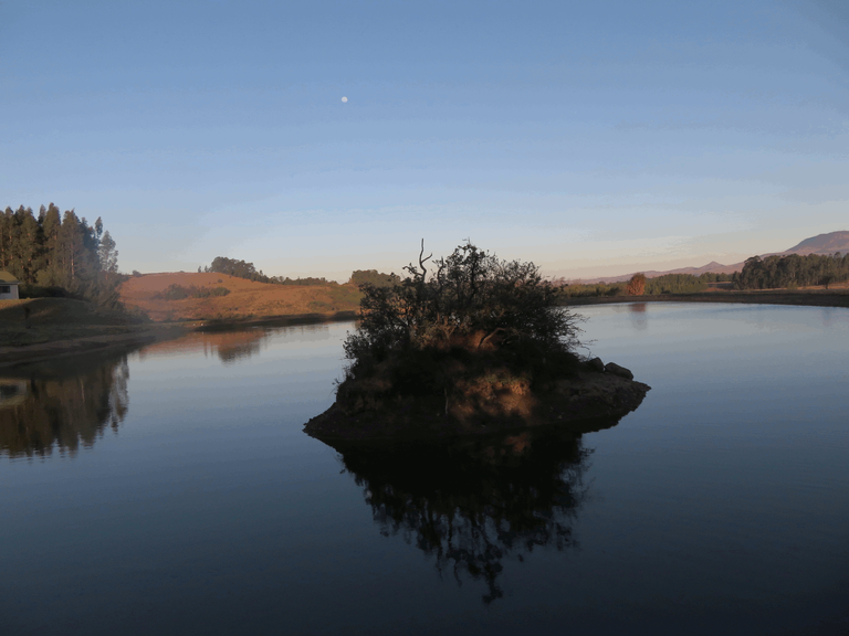 Main Trout Dam and Island