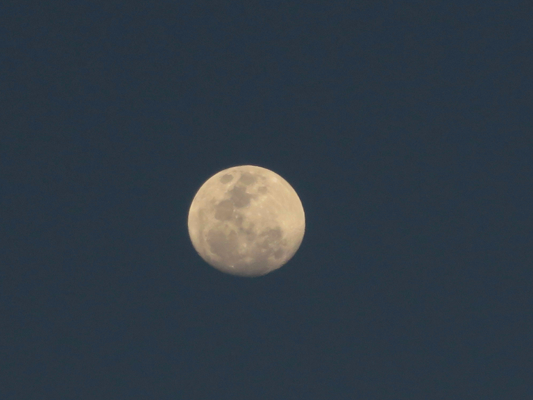 Moon Late Afternoon