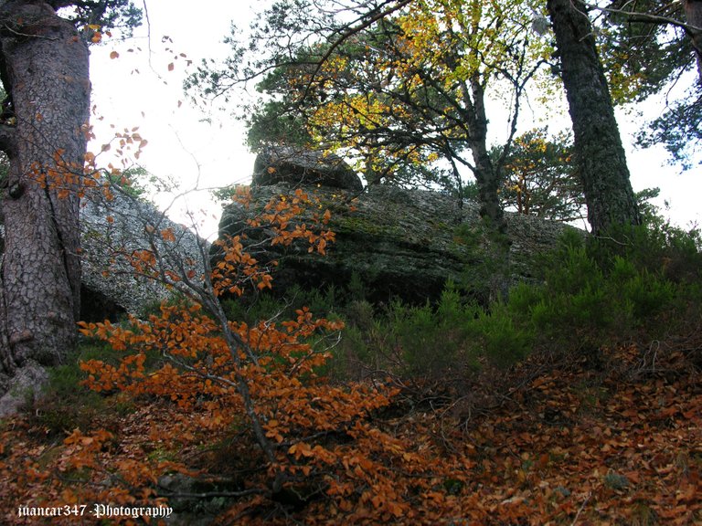 Rocky sphinxes