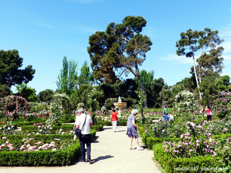 Paseos entre laberínticos parterres