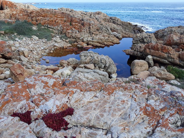 This is actually a fresh water pool at the end of the stream as it comes out at the shoreline