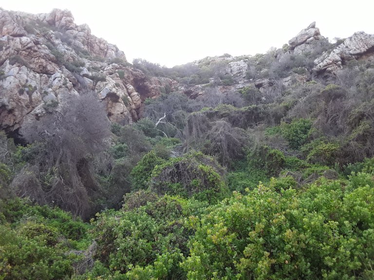 A particularly lush valley that was my route down to the shoreline, thanks to the stream that flows here