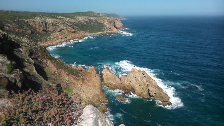 The rocky Garden Route shoreline on the Cape south coast of Africa - home to the baboons