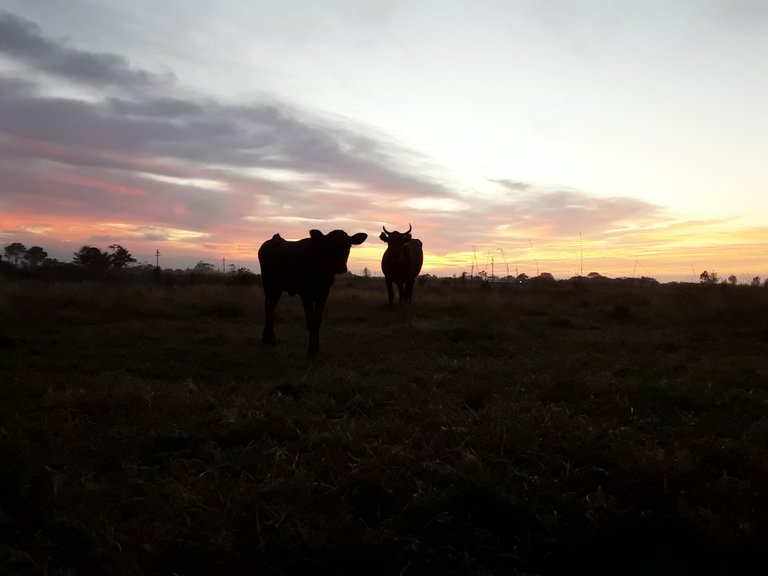 Sunrise in South Africa - our world will never be the same again