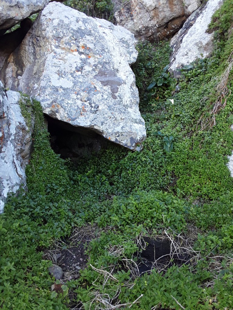 View of your cave from the outside