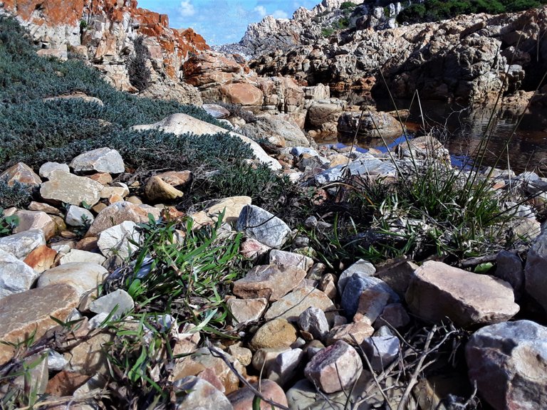 A different angle on the scenic view of Africa’s southern shore