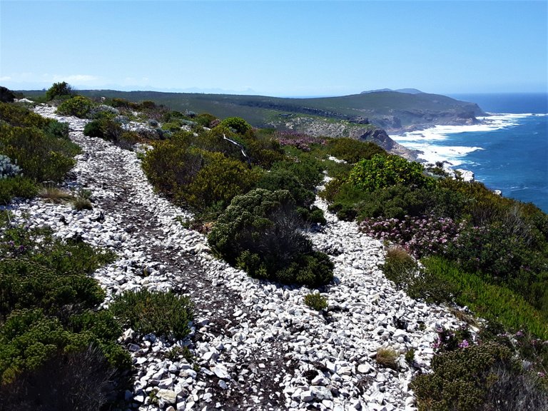 Hiking trail along the top of the cliffs overlooking the Indian ocean