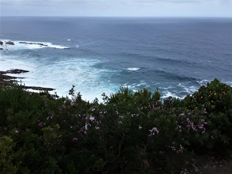 View from the cliff tops facing the Antarctic due south