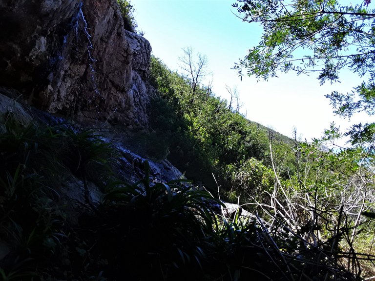 A closer angle of the waterfall which is more of a water trickle just now