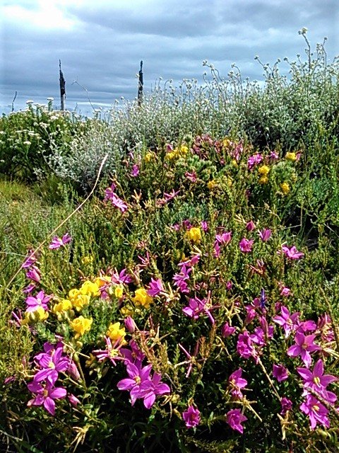 Patches of brightness dot the terrain all along the cliff tops