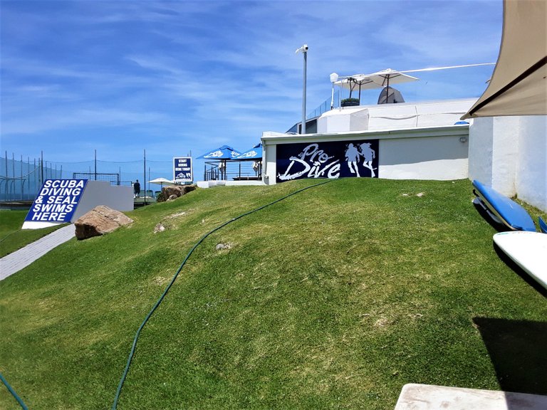 Marine nature tour opportunities at the Beacon Isle resort